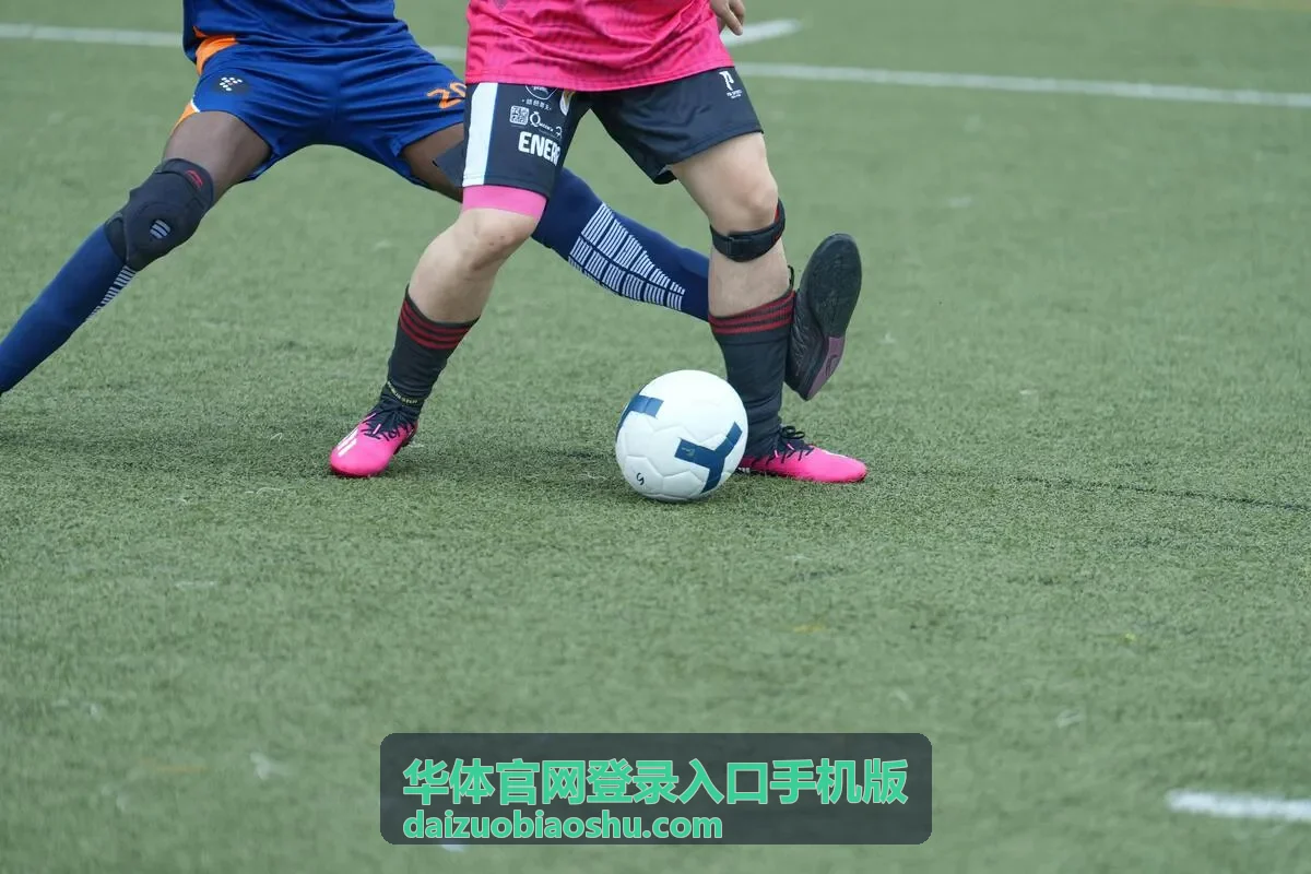华体官网登录入口手机版手机端操作流程